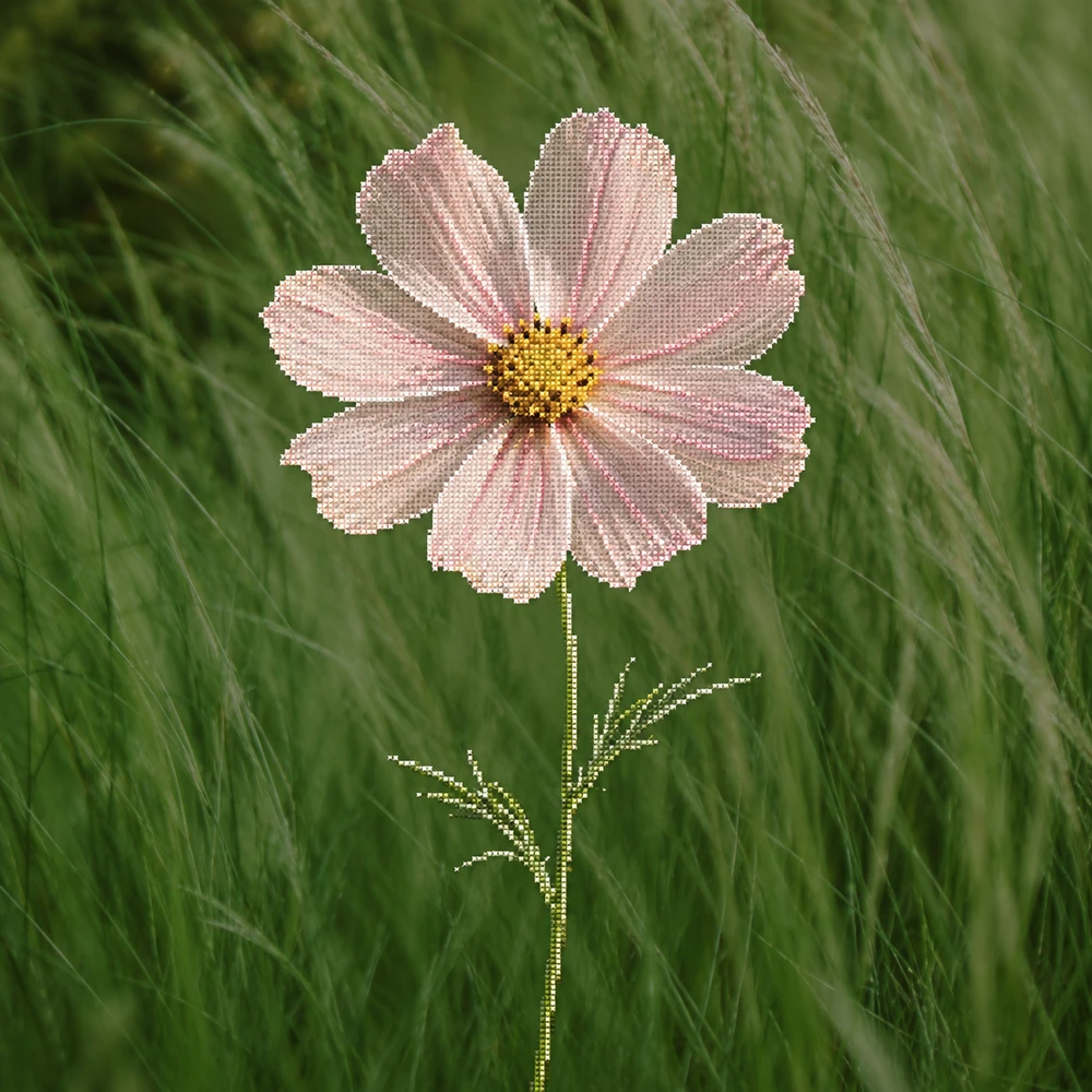 A delicate cosmos stitch-grid illustration over meadow grass.