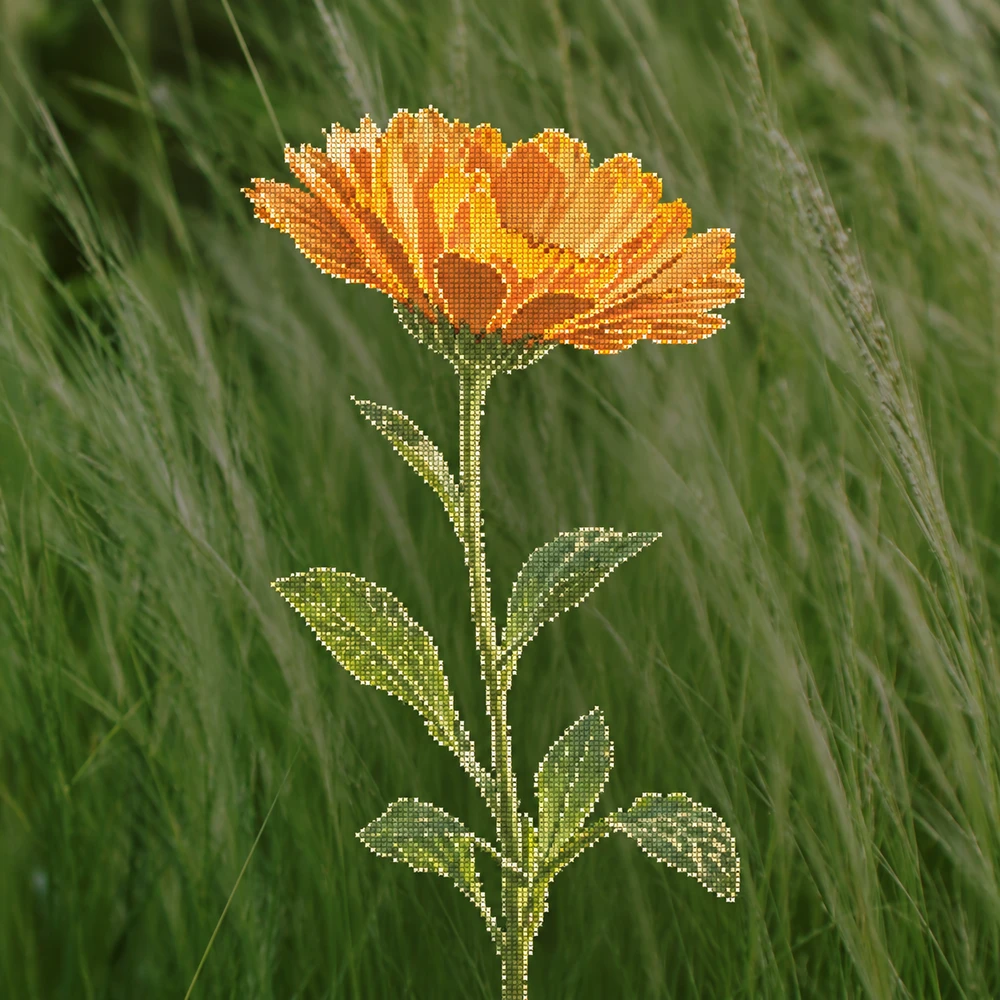 A delicate calendula stitch-grid illustration over meadow grass.